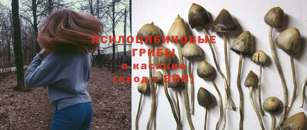 mix Абаза