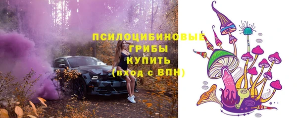 прущие крисы Абинск