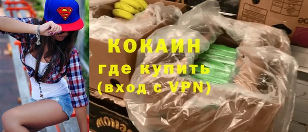 хмурый Алзамай